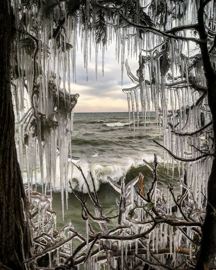 Icicles hang from tree branches, framing a stormy ocean view.