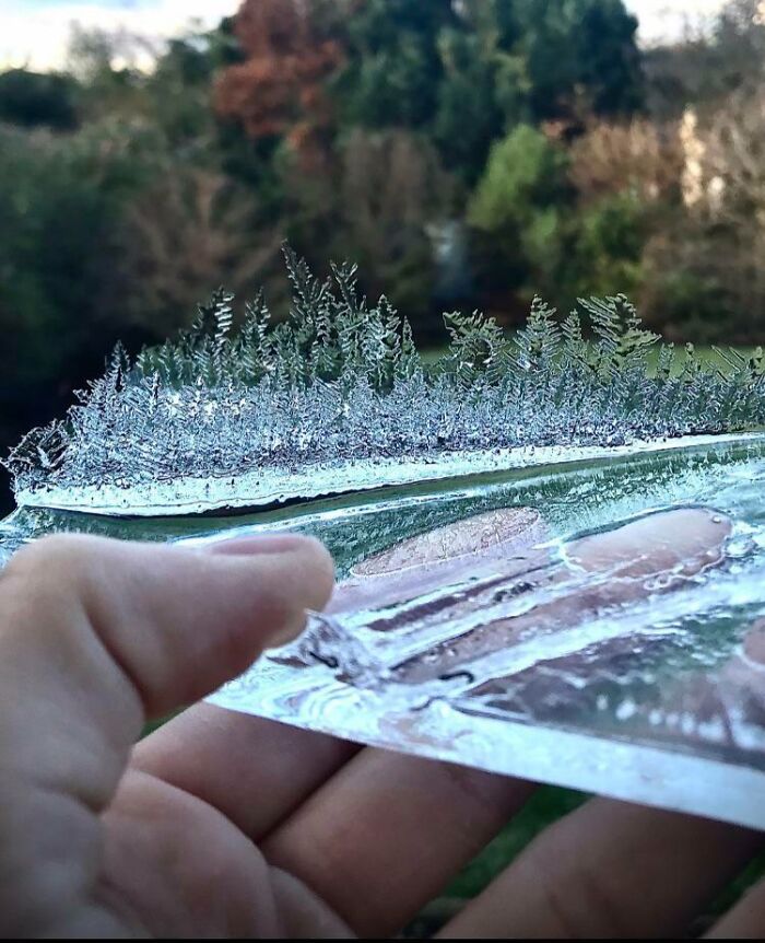 Close-up of a hand holding a clear ice sheet with delicate frost patterns, highlighting ice-cold winter textures.