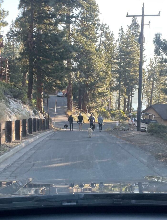 These Folks Walk Four Across Every Morning And Don’t Check Behind For Cars