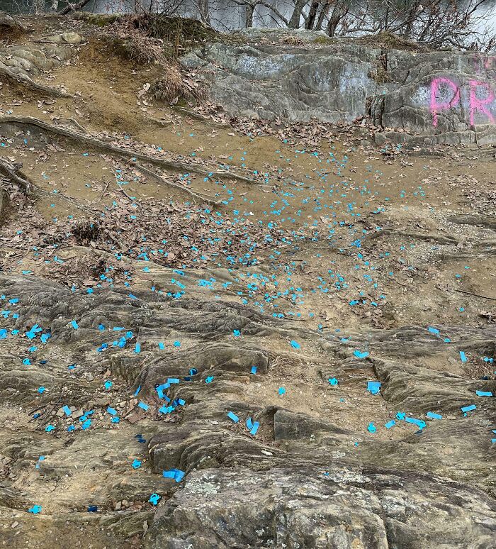 Went Hiking And Came Across The Aftermath Of A Gender Reveal