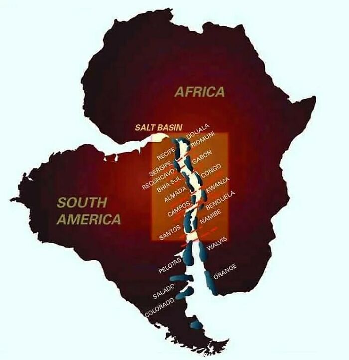 Millions Of Years Ago, Africa And South America Were Like Two Pieces Of A Giant Puzzle, Joined Together In A Supercontinent Called Pangaea