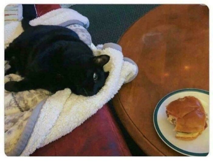 Black cat on a blanket beside a table with a sandwich, resembling a Renaissance painting.