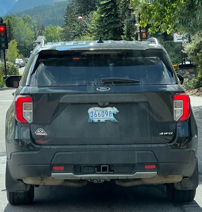 License Plates From The Canadian Northwest Territories Are Polar Bear-Shaped