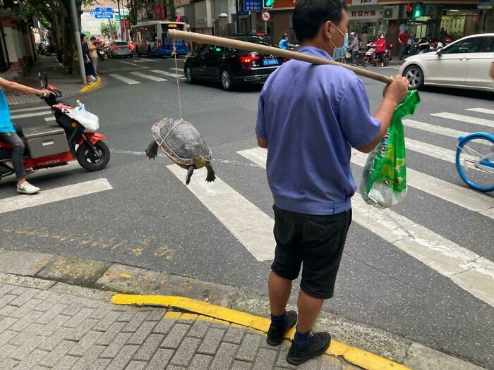 A Man In Shanghai Carrying A Tortoise