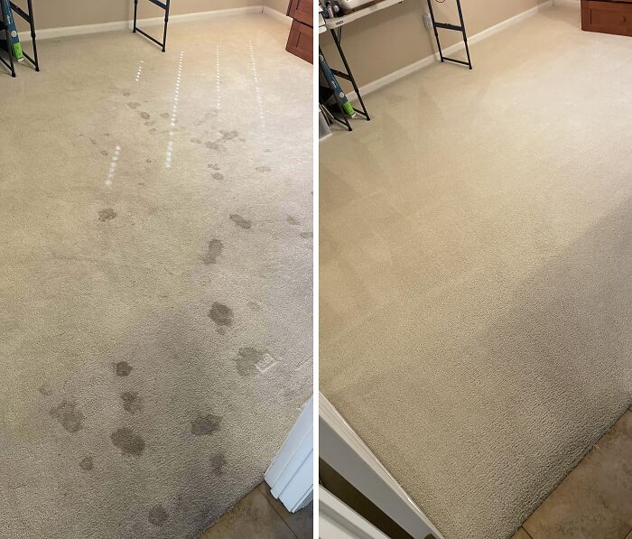 Before and after cleaning pictures of a carpet with stains removed.