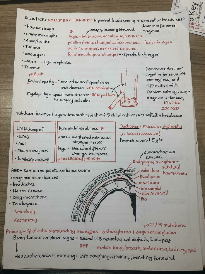 My Medicine Notes! Got About 120 Pages Of This