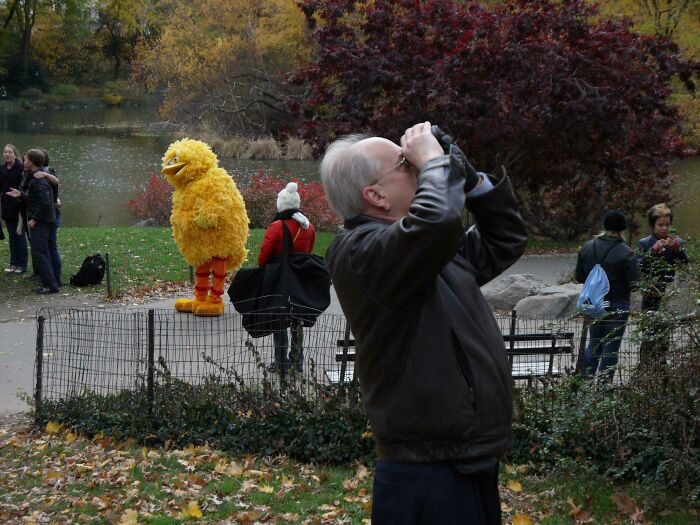 A man using binoculars in a park, with someone in a Big Bird costume amusing in-laws nearby.