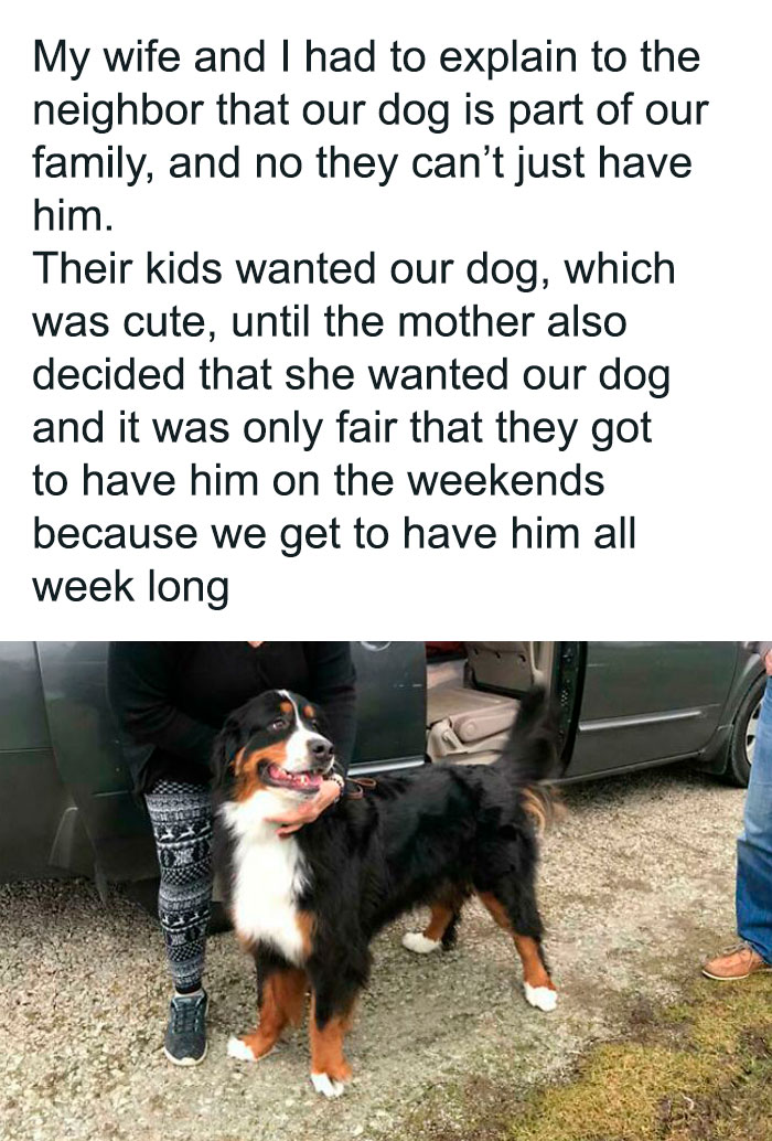 Person with a Bernese Mountain Dog next to a car, illustrating entitled people requests involving pets.