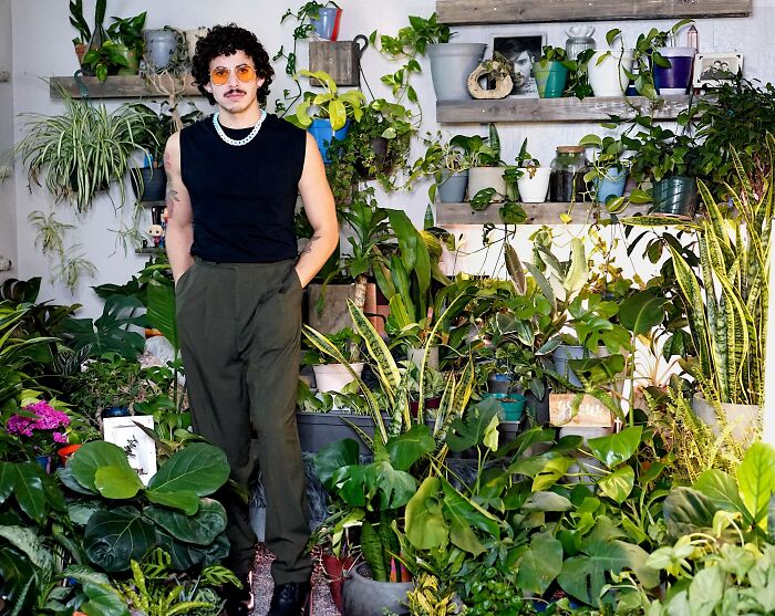 Person standing among a variety of indoor garden plants, surrounded by greenery and potted plants on shelves.