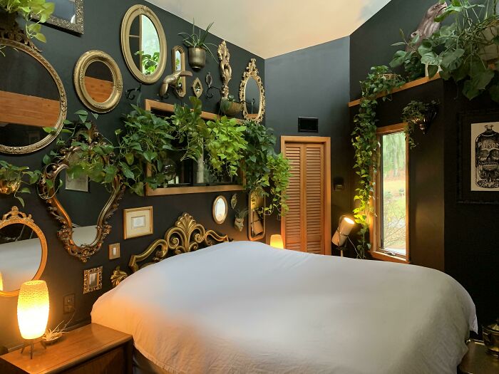 Indoor garden with various plants in a bedroom, surrounded by decorative mirrors on dark walls.