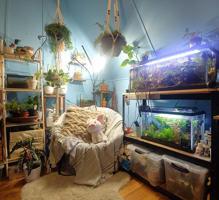 Cozy indoor space with garden plants, aquariums, and hanging planters, creating a relaxing atmosphere.