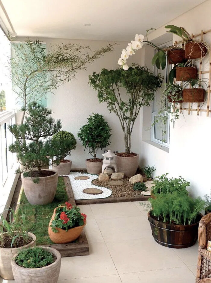 Indoor garden with various potted plants on a balcony, featuring lush greenery and decorative stones.