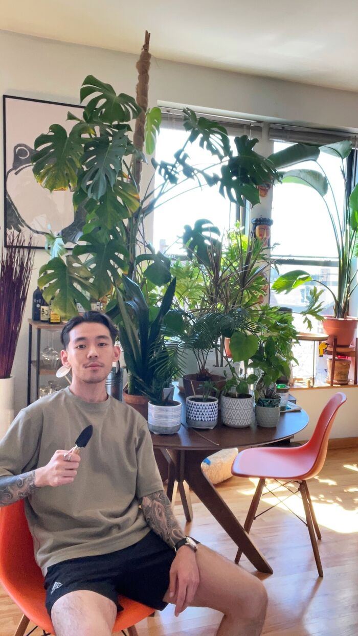 Indoor garden plants with a person sitting nearby, holding a small gardening tool, and surrounded by lush greenery.