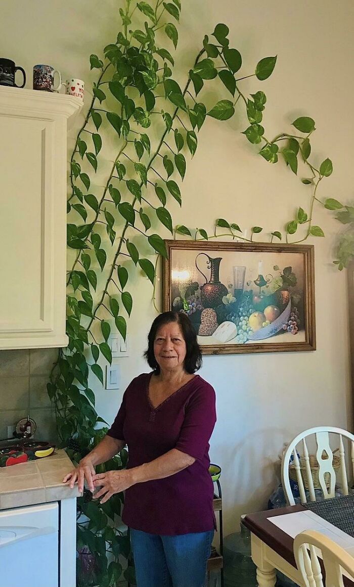 Woman in kitchen with indoor garden plants climbing the wall.