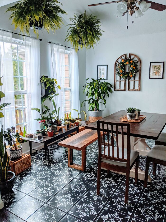 Indoor garden plants in a bright dining room with decorative tiles and wooden furniture.