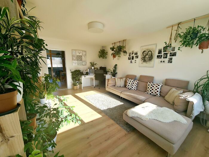 Living room filled with indoor garden plants, featuring a beige sofa and green potted plants enhancing the decor.