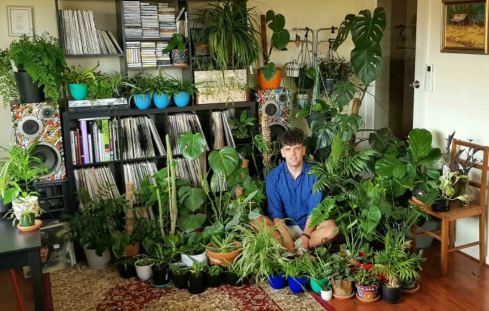 Person sitting among various indoor garden plants, surrounded by vinyl records and speakers.