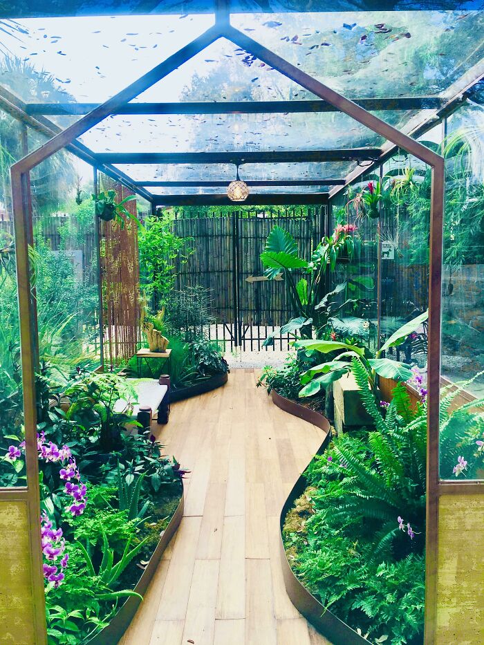 Indoor garden with lush plants and flowers, under a glass roof.