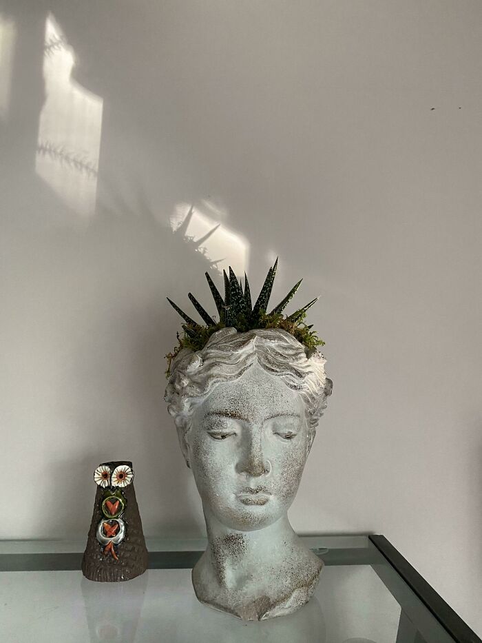 Indoor garden plants in a statue head planter next to decorative owl on a glass shelf.