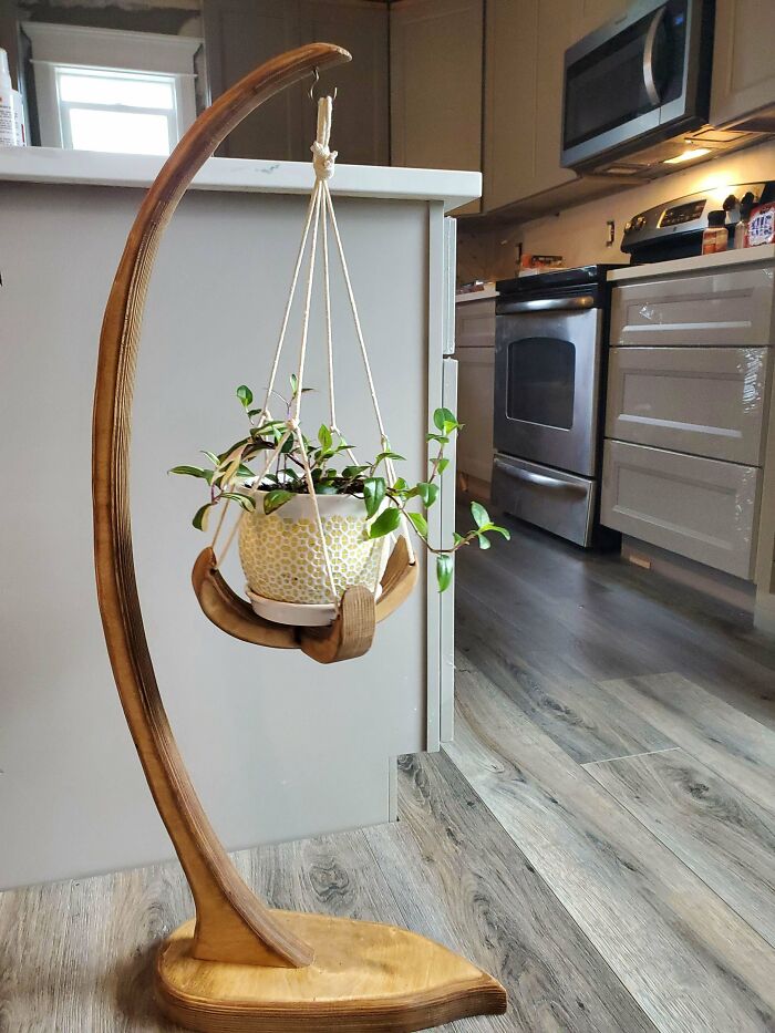 Hanging indoor garden plant in a decorative pot on a wooden stand in a modern kitchen.