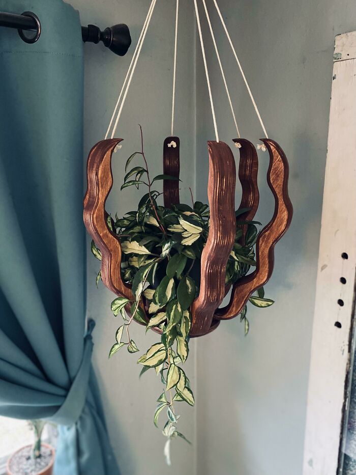 Hanging indoor garden plants in a stylish wooden pot, enhancing home decor.