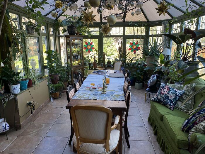 Indoor garden with lush plants surrounding a dining table in a sunlit room.