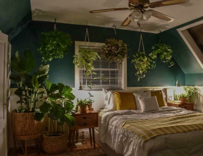 Cozy bedroom with indoor garden plants, including hanging greenery and potted plants by a bed with yellow pillows.