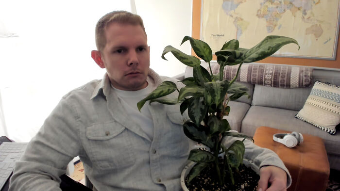 Person holding indoor garden plant beside a couch with a world map in the background.