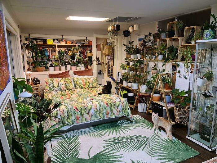 Indoor garden with various plants surrounding a bed, creating a lush, green oasis in a cozy room setting.