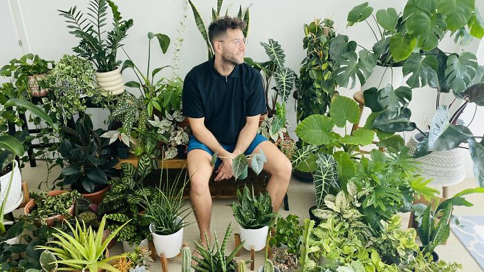 Man sitting among a variety of indoor garden plants in a bright room.