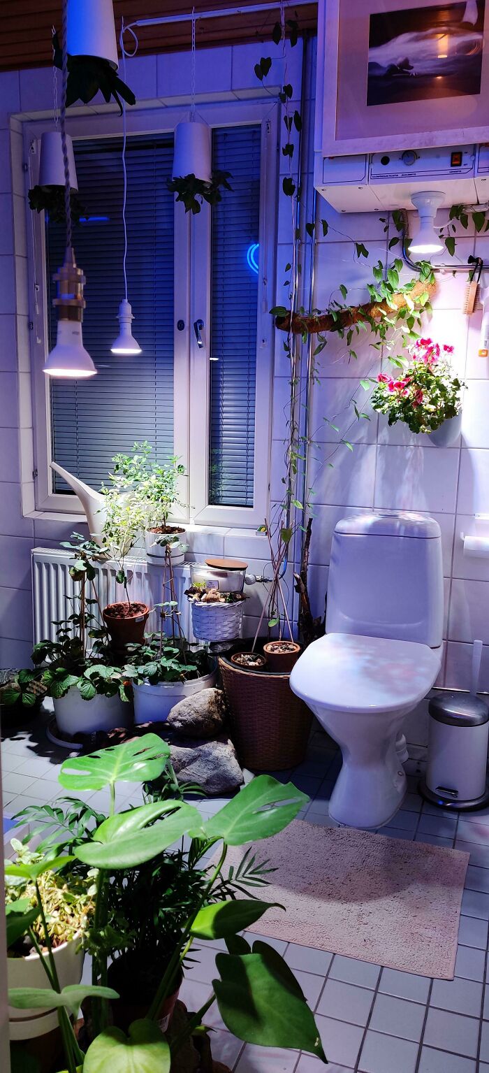 Indoor garden plants adding greenery to a bathroom setting, featuring a variety of leafy plants and hanging pots.