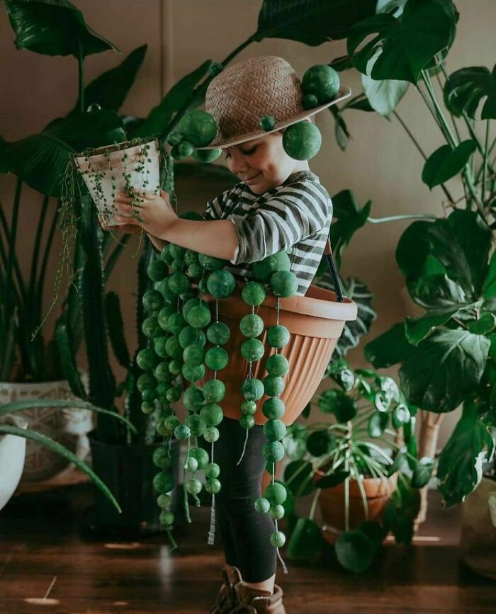 Child dressed as an indoor garden plant, surrounded by leafy greenery, with a pot costume and hat.