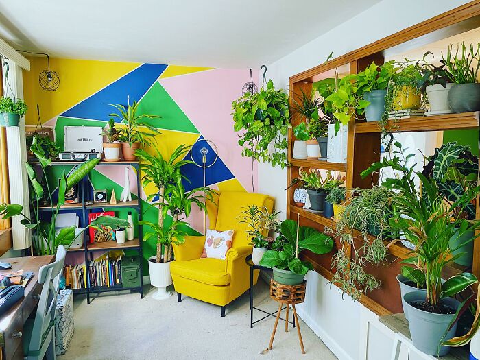 A colorful room filled with vibrant indoor garden plants, featuring a yellow chair and geometric wall art.