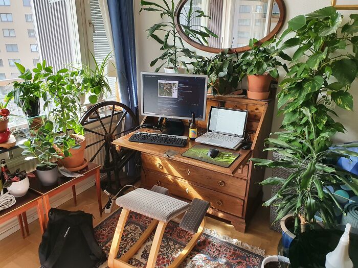 Indoor garden plants surrounding a home office setup with a computer and wooden desk.