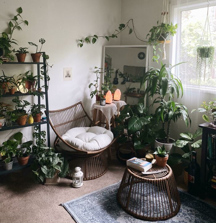 Cozy room with indoor garden plants surrounding a wicker chair, a side table with salt lamps, and a window with lush greenery.