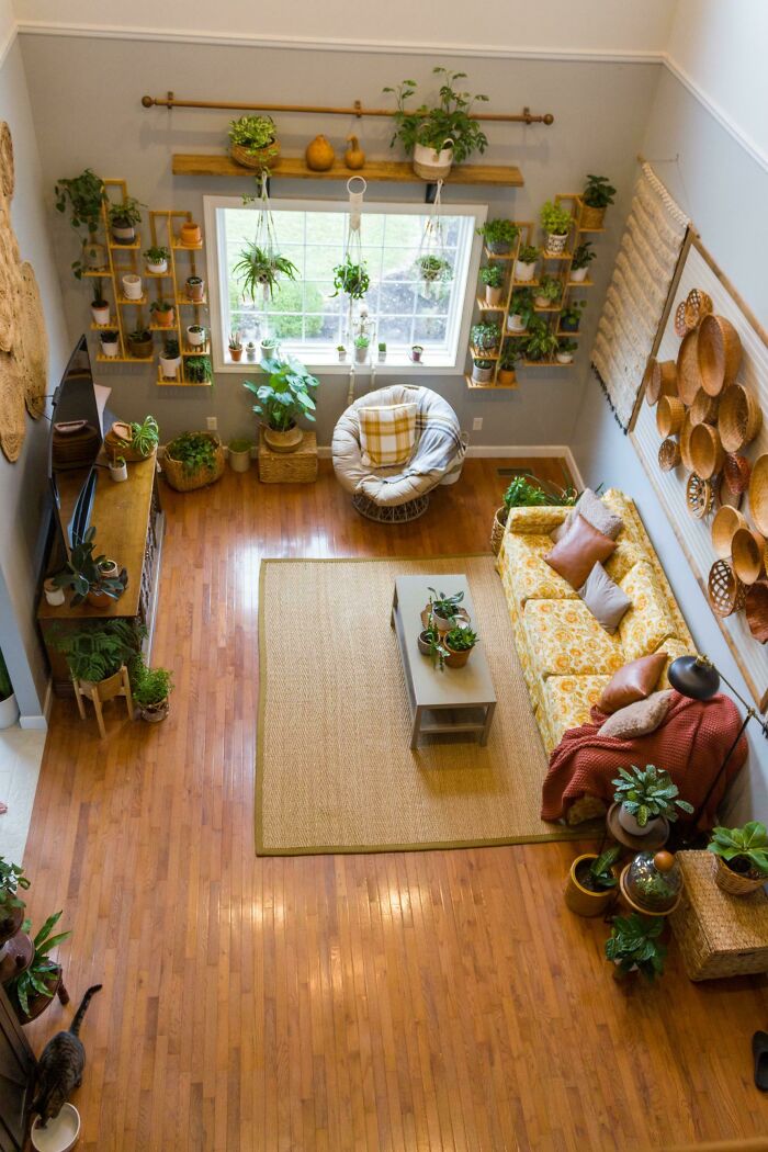 Cozy living room with abundant indoor garden plants, featuring a yellow couch, wood floors, and a large window.