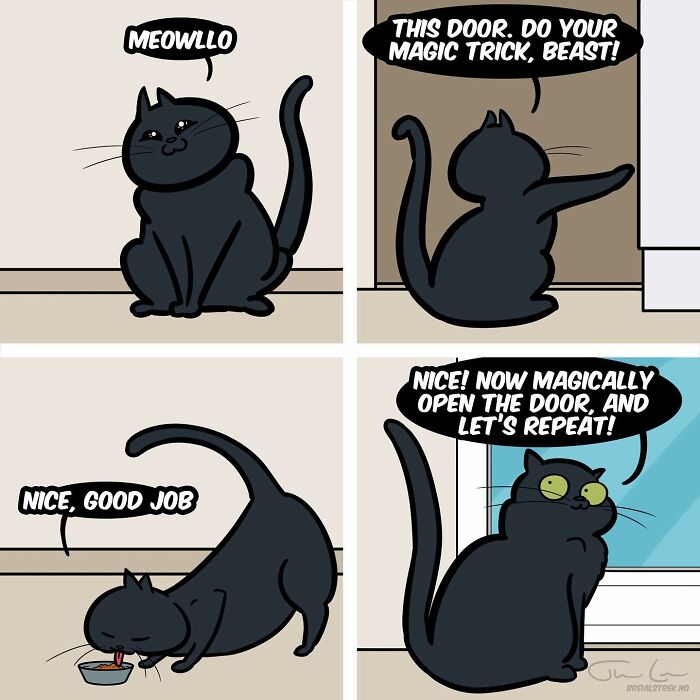 Breial Strek’s Cats And Chaos: A Comic Take On Everyday Life