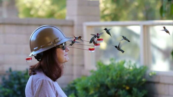 Person wearing a helmet with hummingbird feeders, attracting birds; humorous in-law moment captured outdoors.