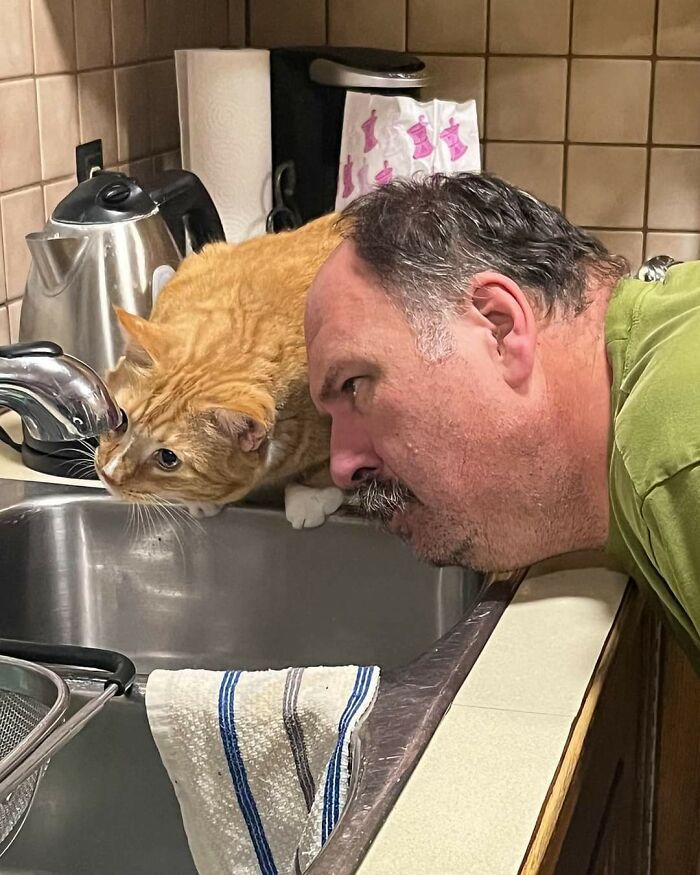 Man humorously mimics a cat drinking from a kitchen sink, capturing a funny in-laws moment.