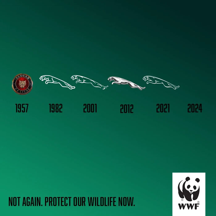 New WWF Philippines Campaign - Not Again