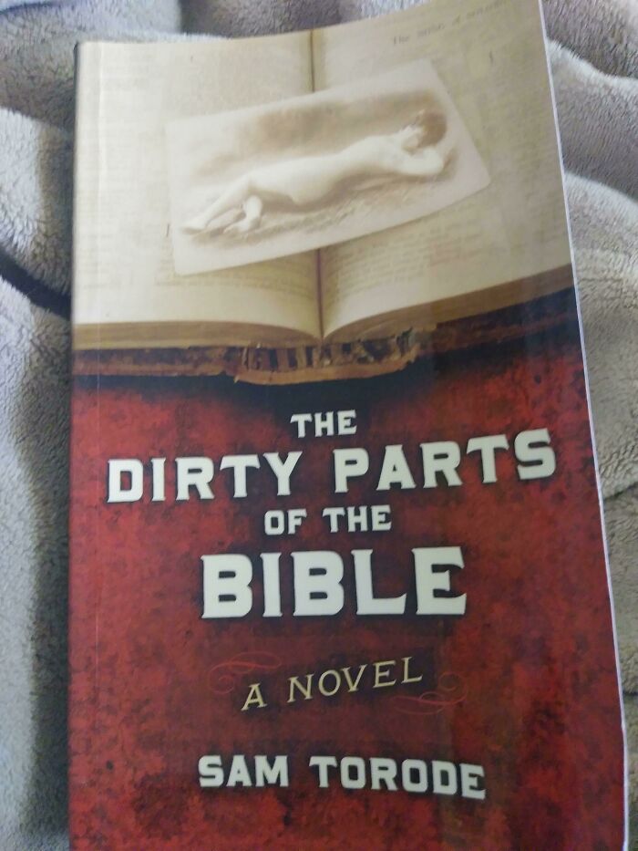 Book cover of "The Dirty Parts of the Bible" by Sam Torode, featuring an open book and sepia-toned photo. Hilarious in-laws.