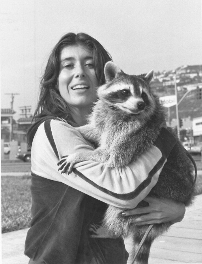 My Hippie Mother Holding Someone’s Pet Raccoon Some Time In The Late 60s