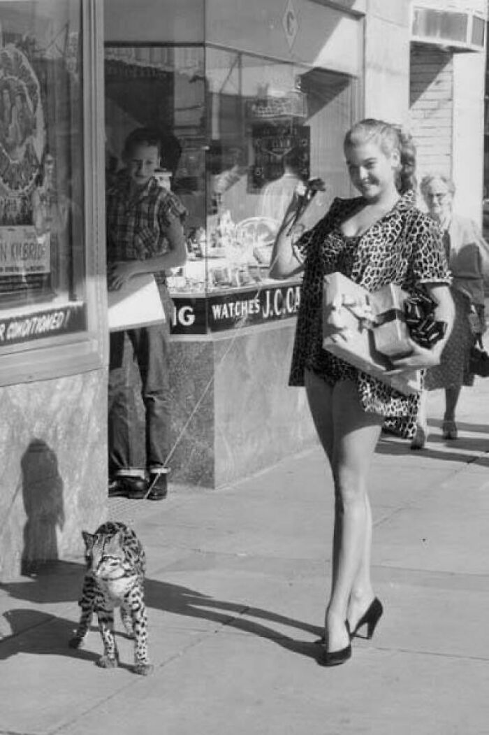 My Great Aunt, A Sunshine Springs Waterski Star, Christmas Shopping Down Main Street With Her Pet Ocelot In The 1950s In Florida