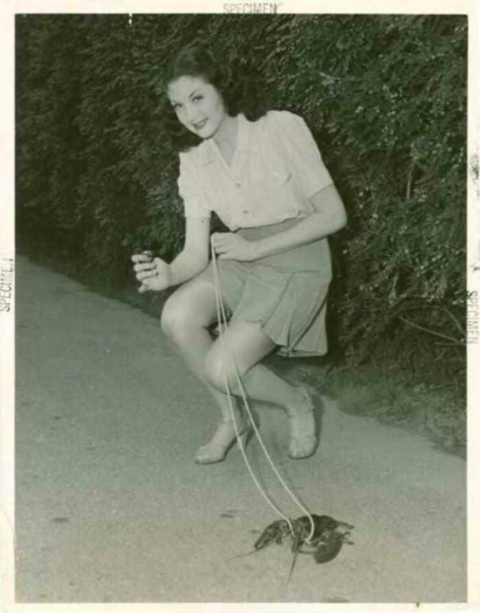 Woman Taking Her Pet Lobster For A Walk, 1940s