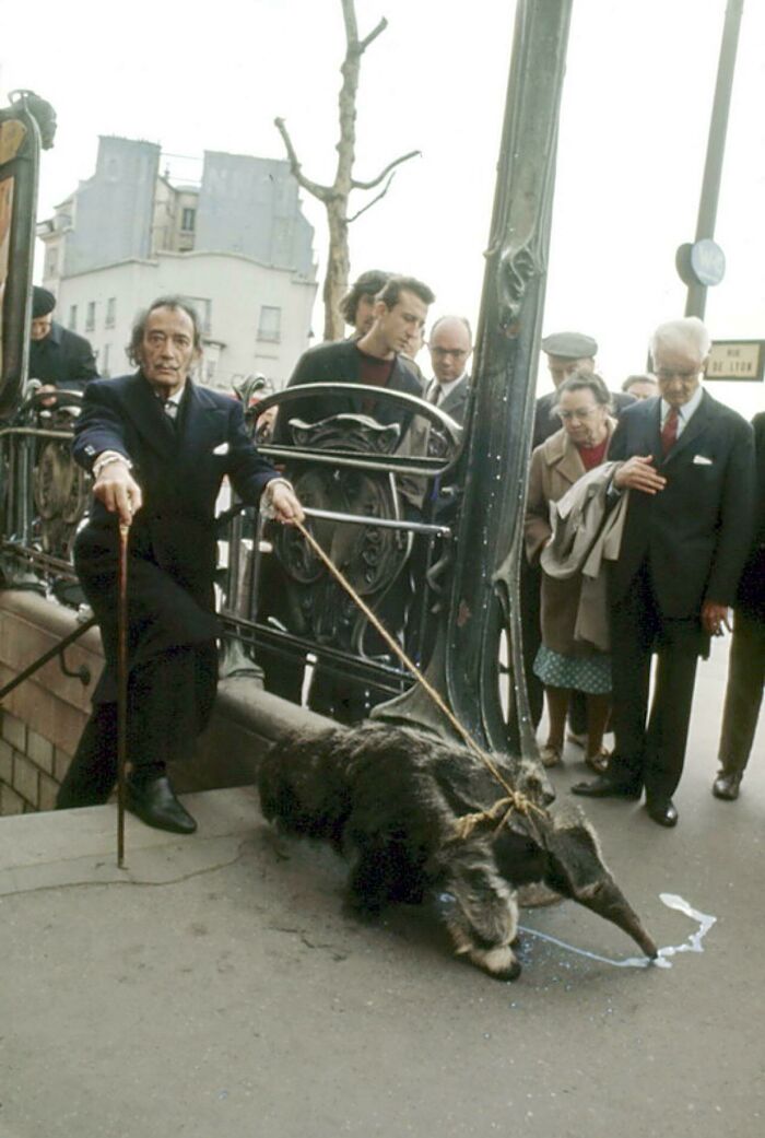 Salvador Dali Walking His Pet Anteater, Paris 1969