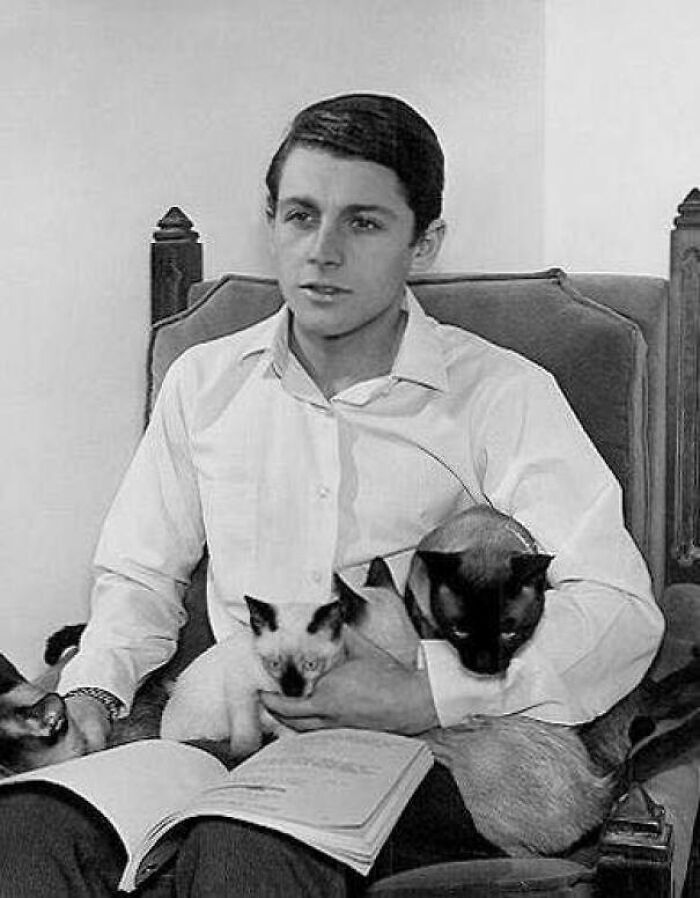 Burt Ward And Some Of His Pet Cats - 1960s