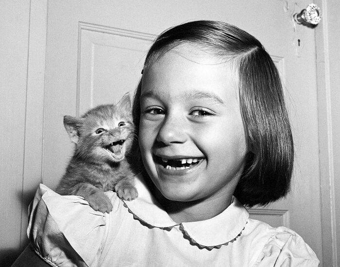 This Kitten Smiling Bigger Than The Little Girl For A Photo, 1955