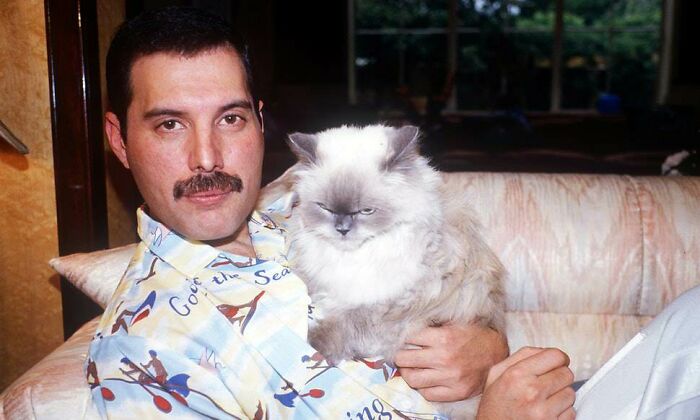 Freddie Mercury And His Unenthused Cat Tiffany, 1988