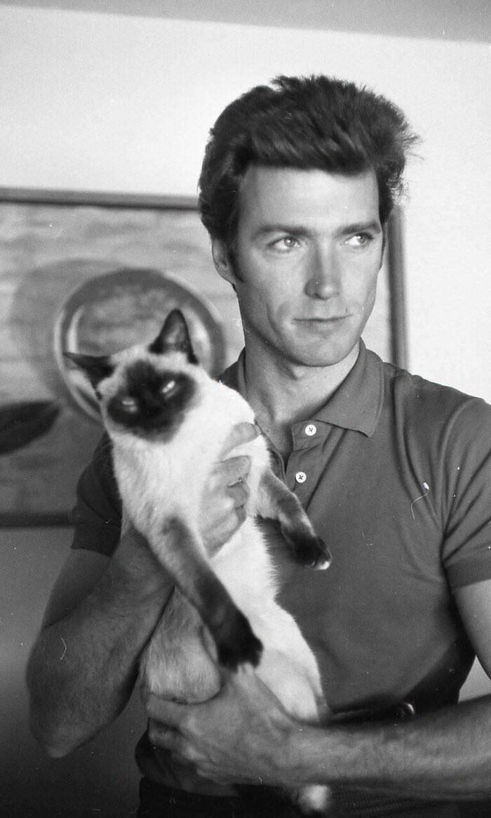 Clint Eastwood And His Cat In 1960