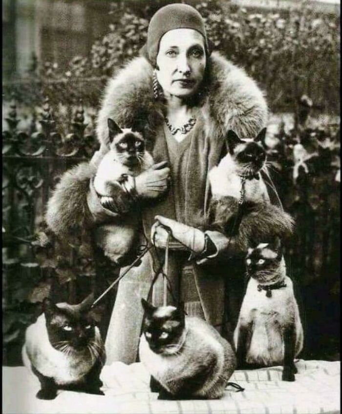 1920’s Cat Lady